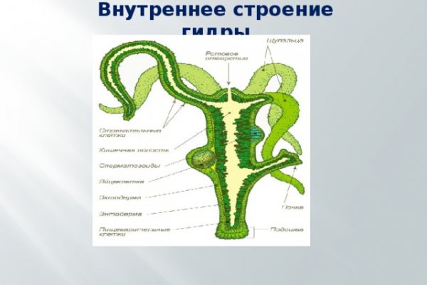 Сайт наркотиков купить