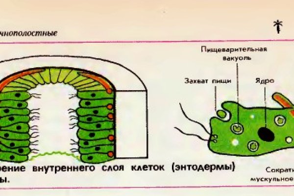 Ссылки онион