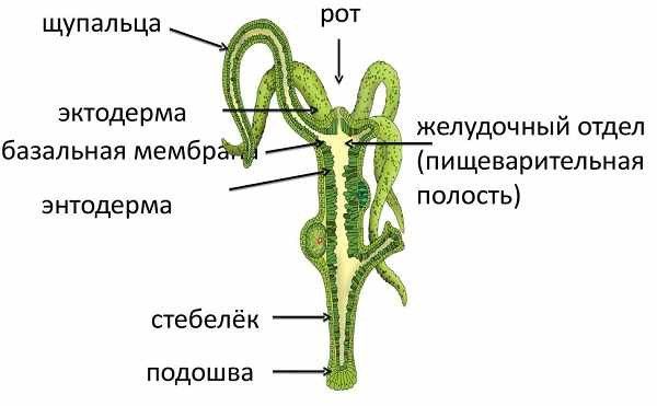 Кракен личный кабинет